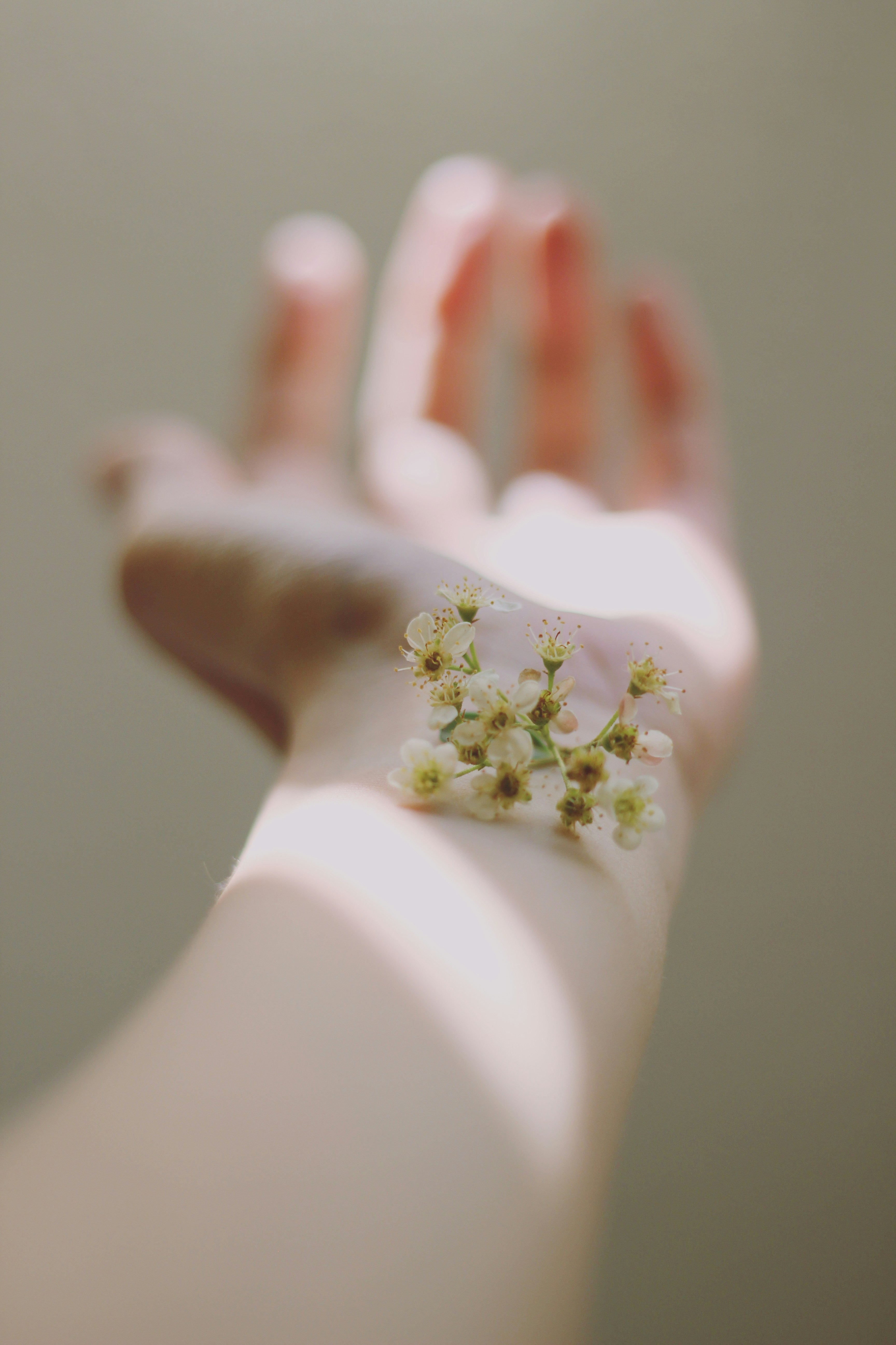 Illustrative image for the blog article about health and supplements